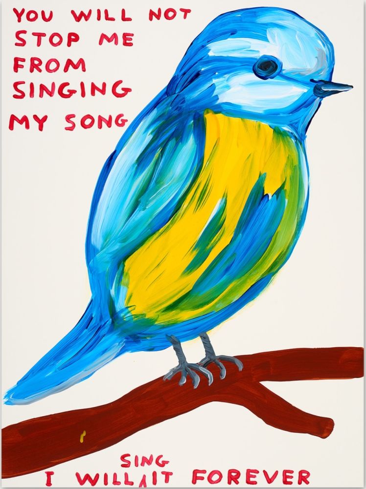 Сериграфия Shrigley - You Will Not Stop Me From Singing My Song