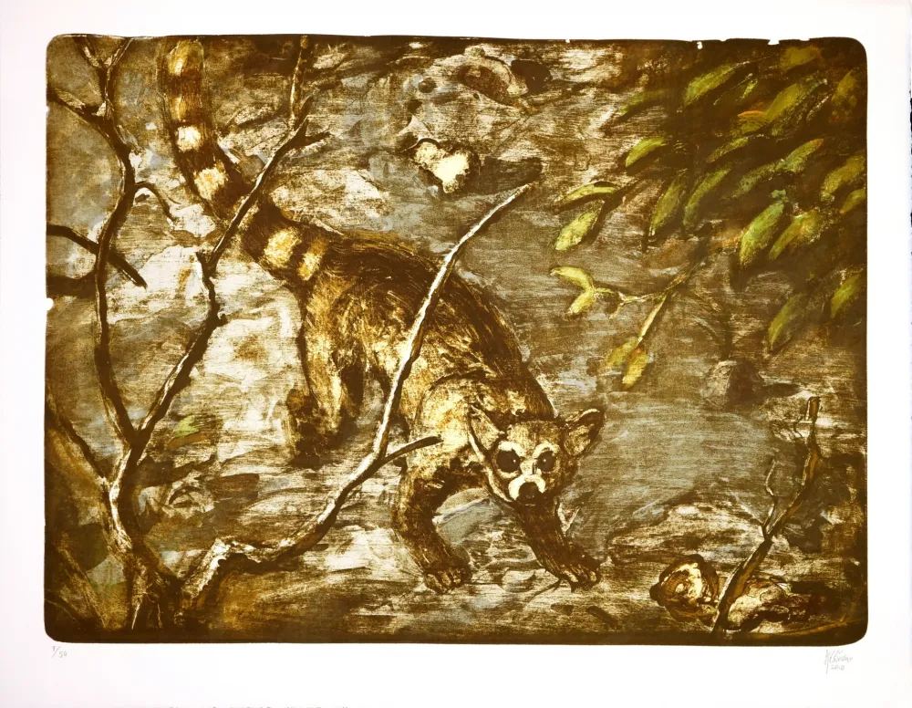 Литография Aceves Humana - Cacomitle