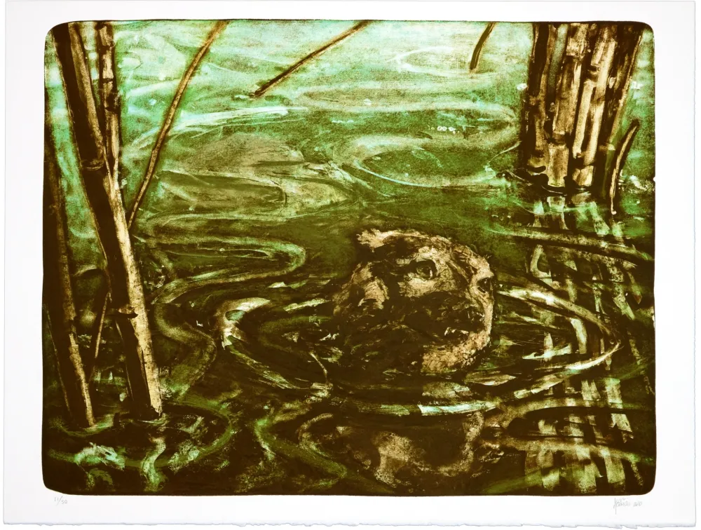 Литография Aceves Humana - Sans titre