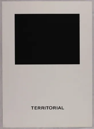 Сериграфия Agnetti - Territorial from 'Spazio perduto e spazio costruito' portfolio, Plate B