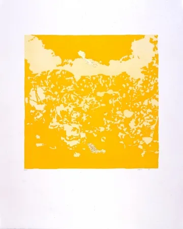 Акватинта Agosti - Orphée N°II