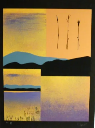 Сериграфия Aguade - Analitica 1