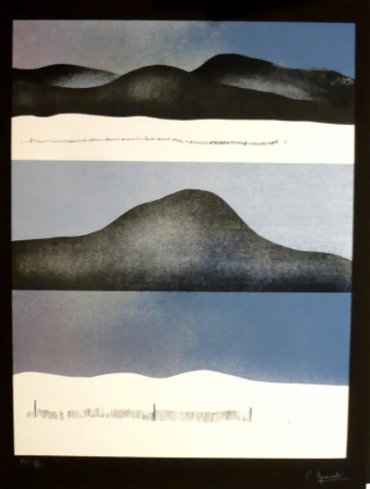 Сериграфия Aguadé - Analitica 10