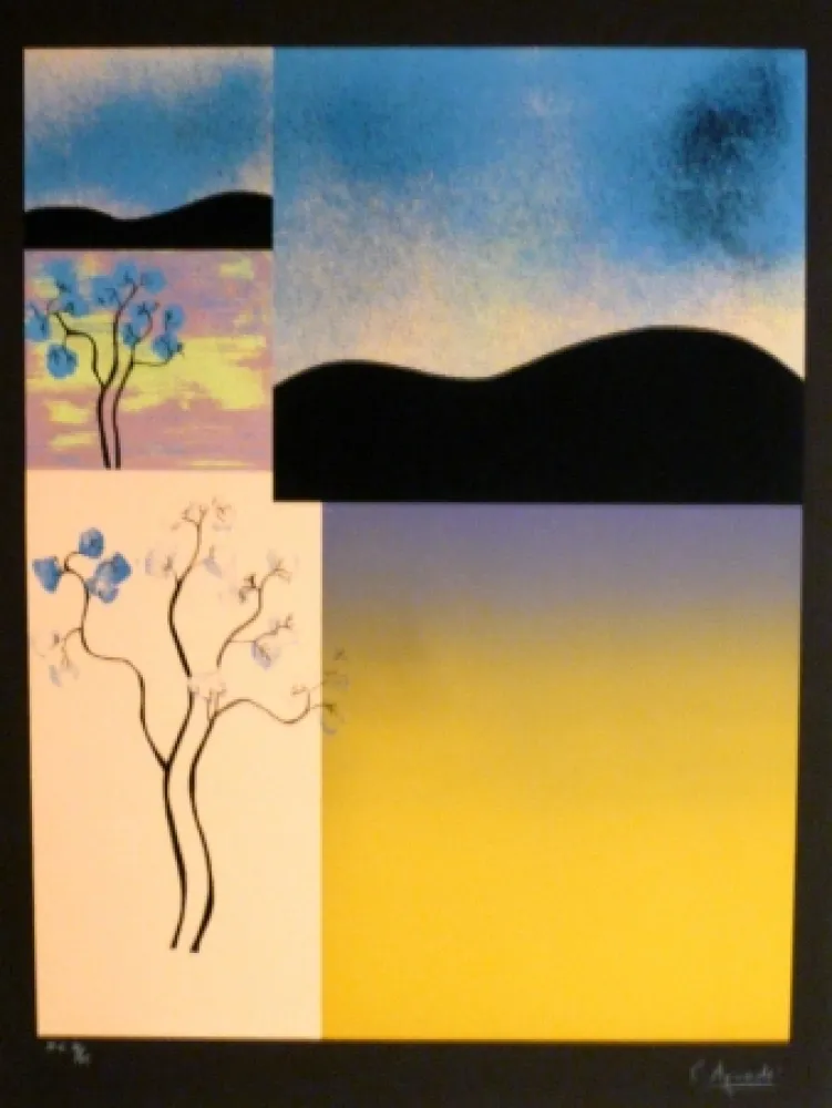 Сериграфия Aguade - Analitica 2