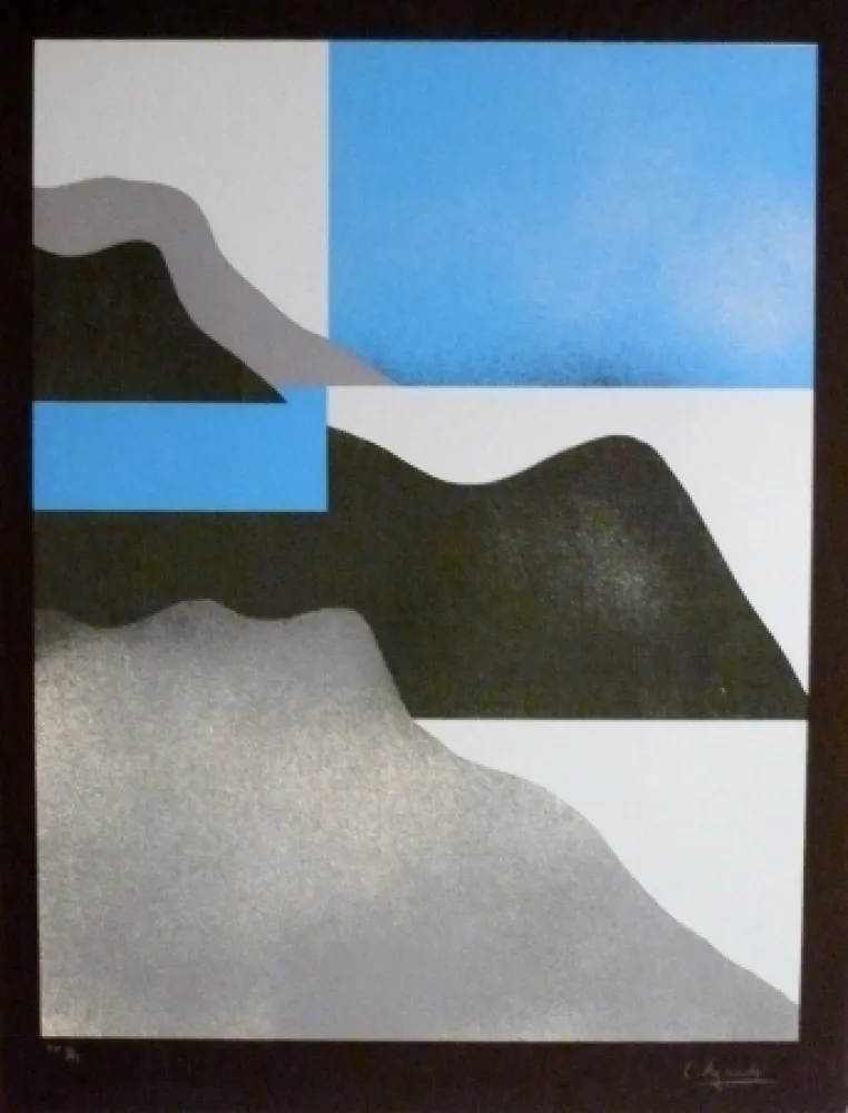 Сериграфия Aguadé - Analitica 3