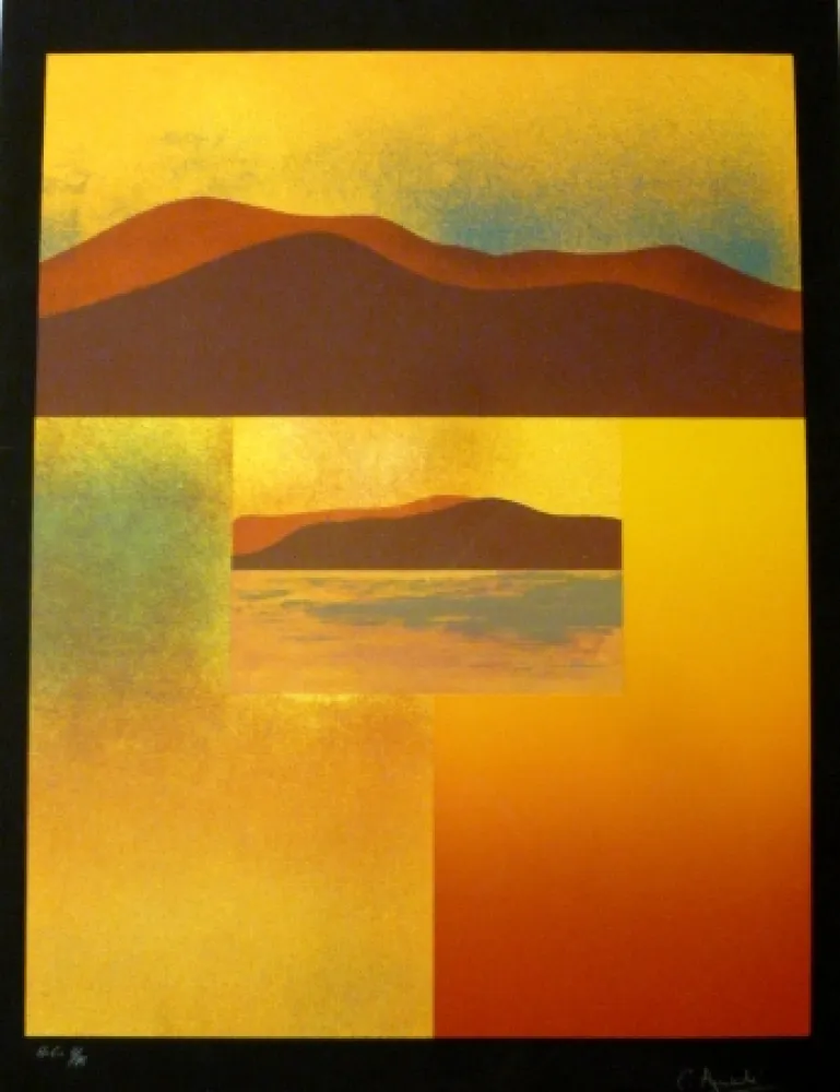 Сериграфия Aguadé - Analitica 4