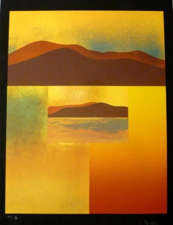 Сериграфия Aguadé - Analitica 4