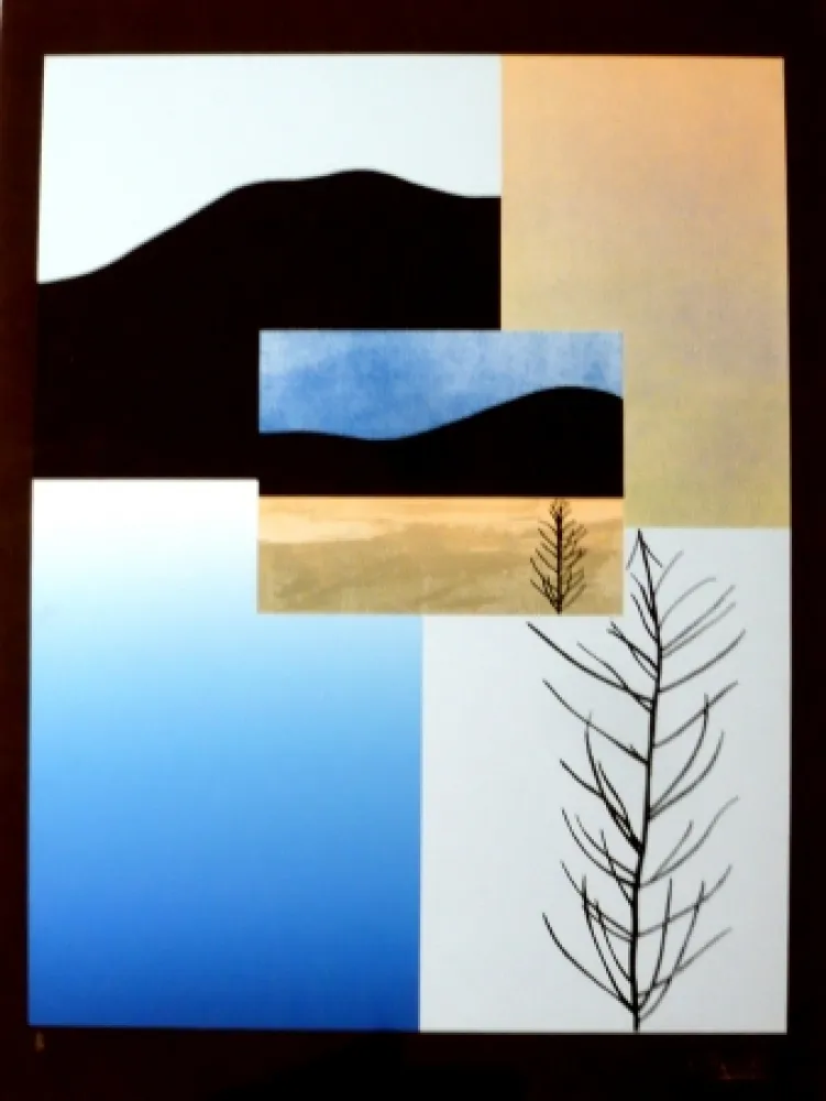 Сериграфия Aguadé - Analitica 5