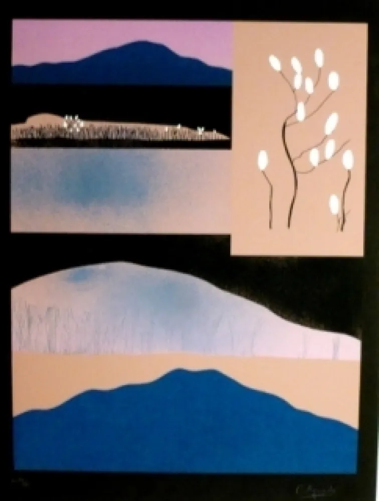 Сериграфия Aguade - Analitica 6