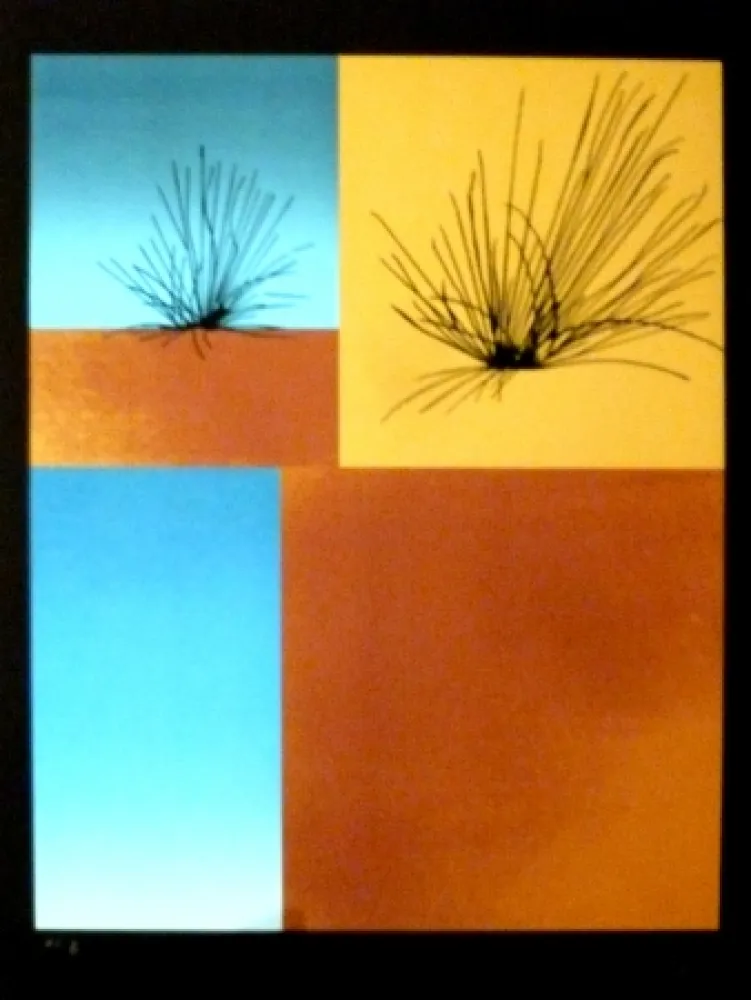 Сериграфия Aguade - Analitica 7