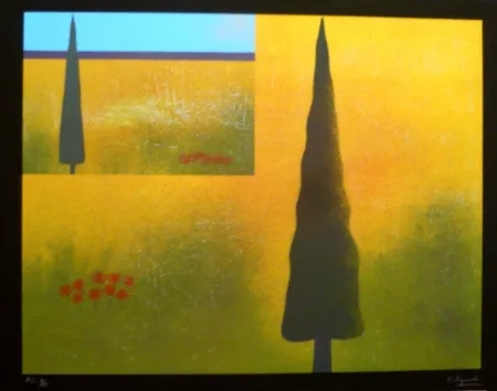 Сериграфия Aguadé - Analitica 9