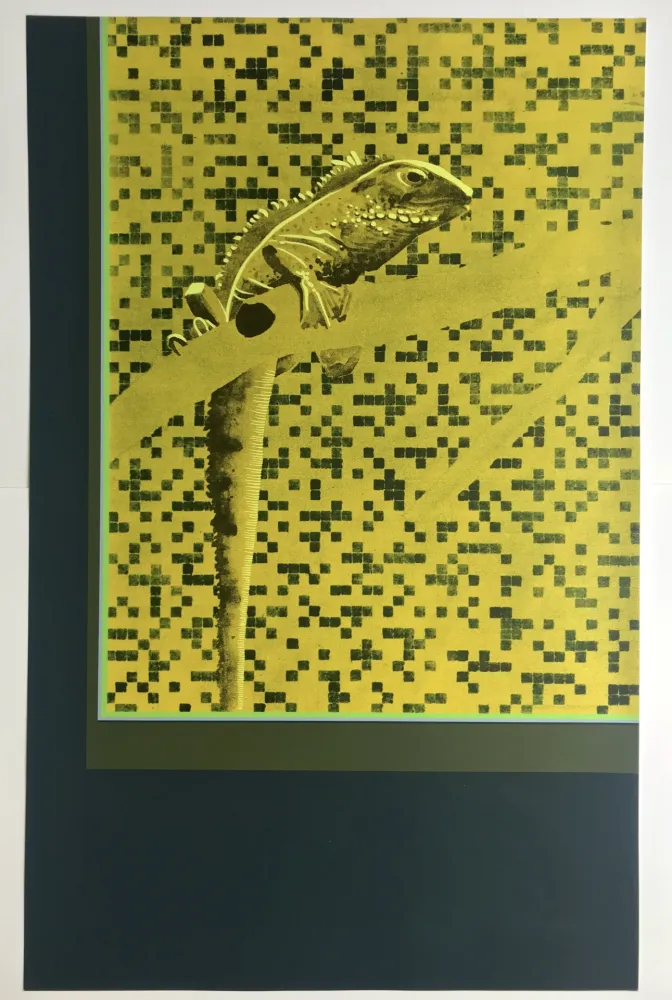 Сериграфия Aillaud - Iguane