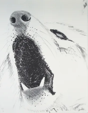 Иллюстрированная Книга Aillaud - L'Encyclopédie de tous les animaux - Tome III