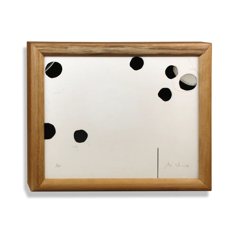 Многоэкземплярное Произведение Alcaraz - Interior