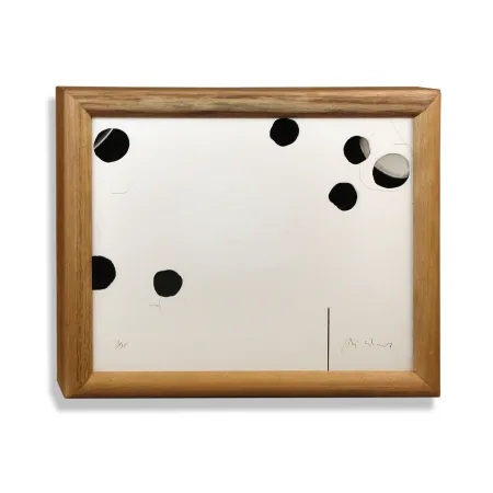 Многоэкземплярное Произведение Alcaraz - Interior