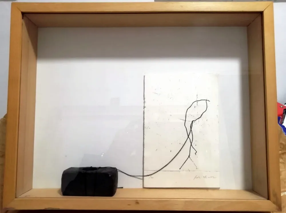 Многоэкземплярное Произведение Alcaraz - Linia passejant Marten