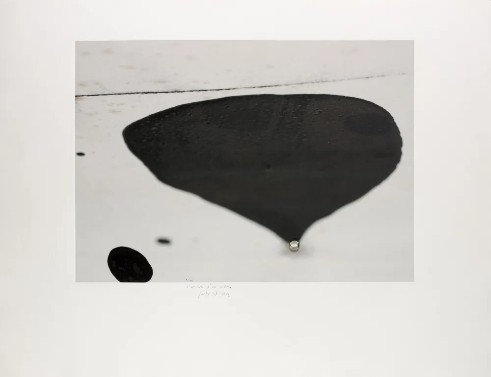 Сериграфия Alcaraz - L’ombra d’un vidre