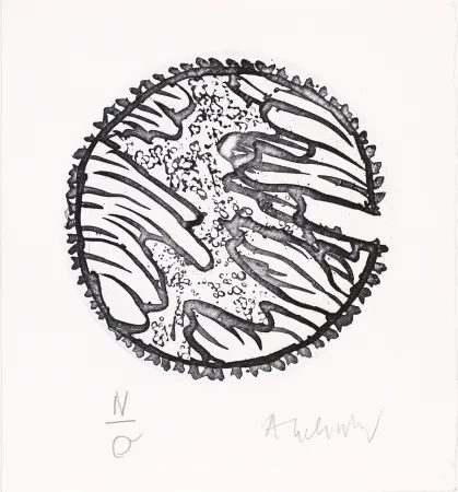 Офорт И Аквитанта Alechinsky - Chronique de la neige