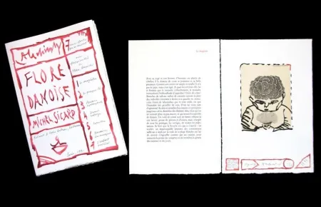 Иллюстрированная Книга Alechinsky - FLORE DANOISE