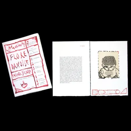 Иллюстрированная Книга Alechinsky - Flore danoise