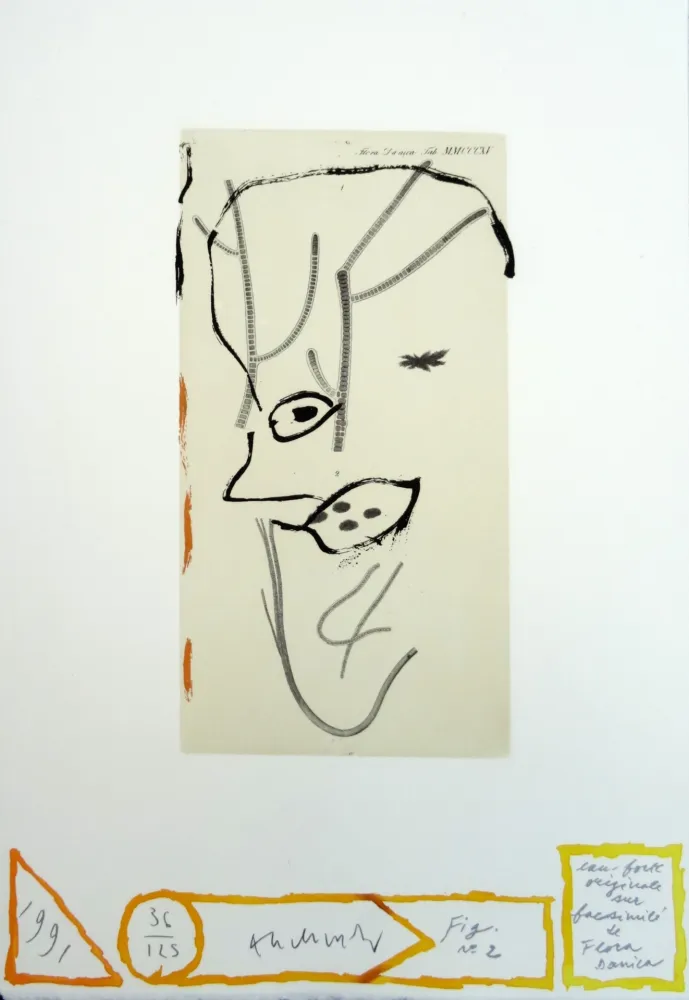 Офорт Alechinsky - Flore danoise : De presque-là