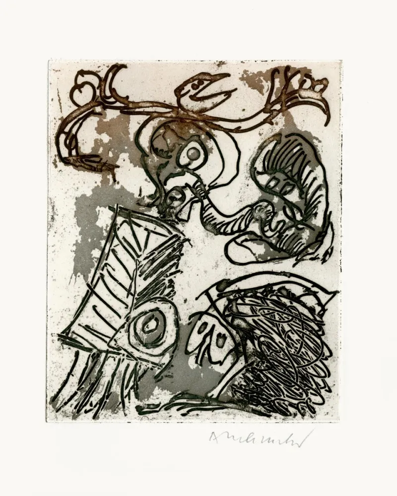 Иллюстрированная Книга Alechinsky - L'espace d'un doute