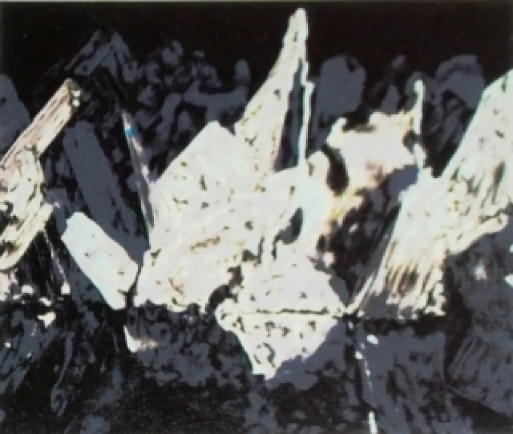 Литография Alexander - Sans titre