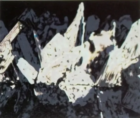 Литография Alexander - Sans titre