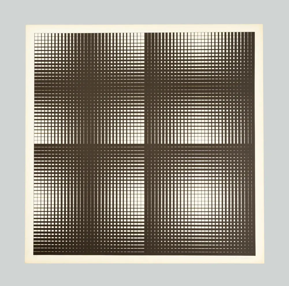 Сериграфия Alviani - Programmazione grafica