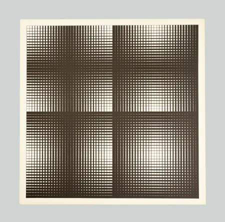 Сериграфия Alviani - Programmazione grafica