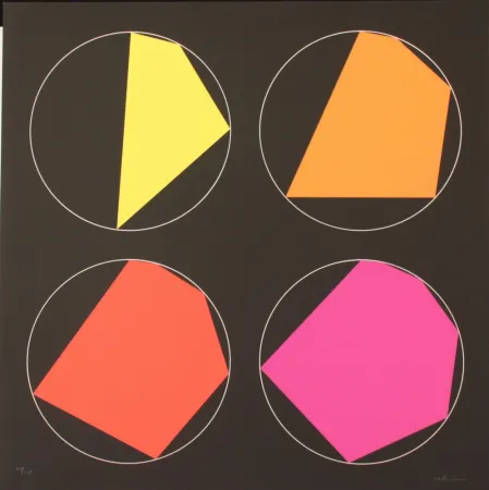 Сериграфия Alviani - PROGRESSIVI ISCRITTI NEL CERCHIO