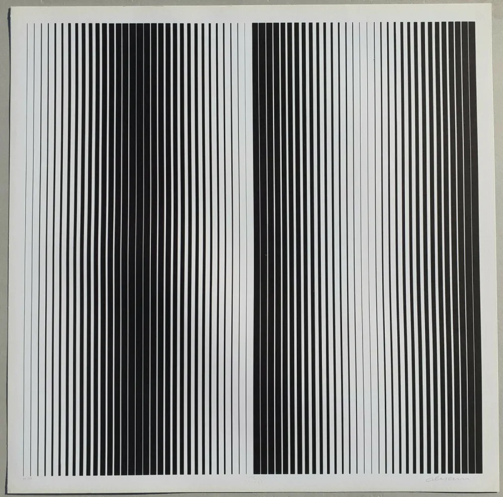 Сериграфия Alviani - Senza titolo