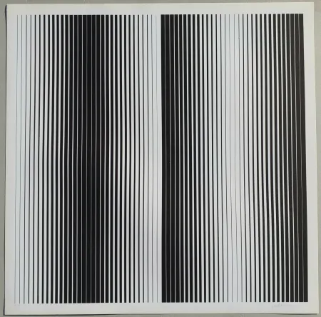 Сериграфия Alviani - Senza titolo