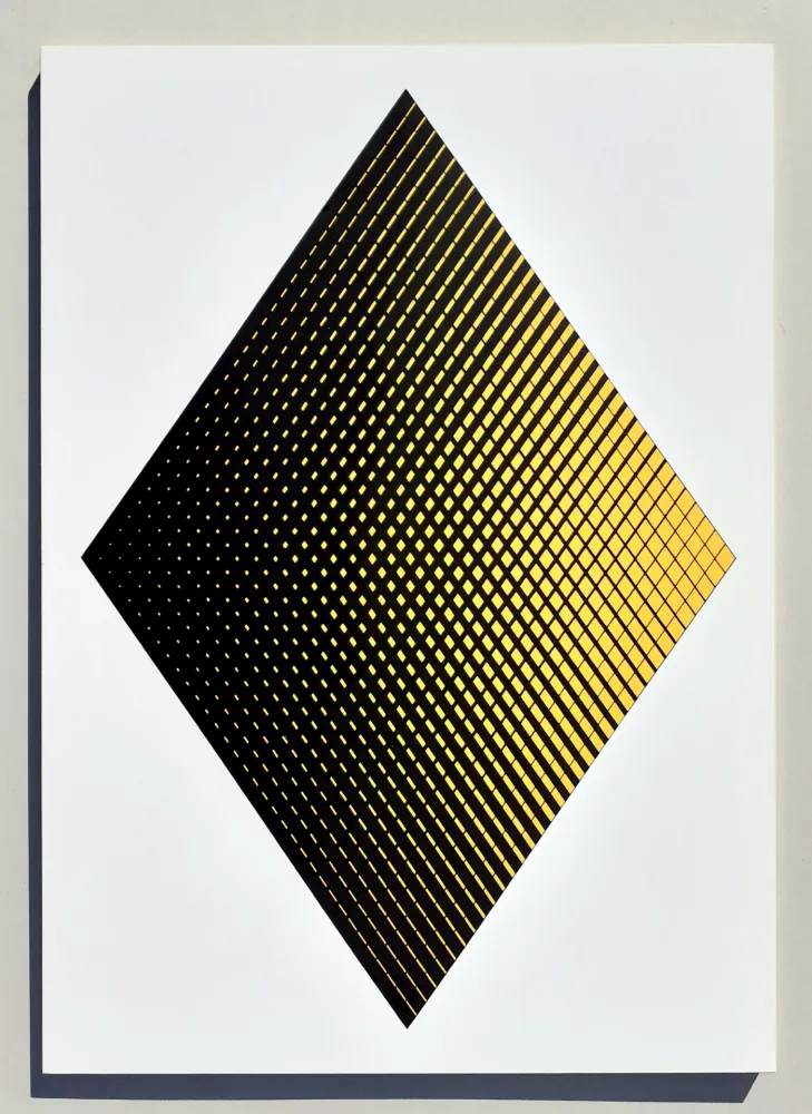 Сериграфия Alviani - Senza titolo