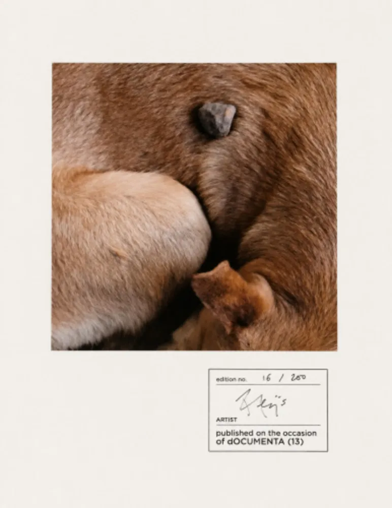 Фотографии Alÿs - Untitled (documenta 13)