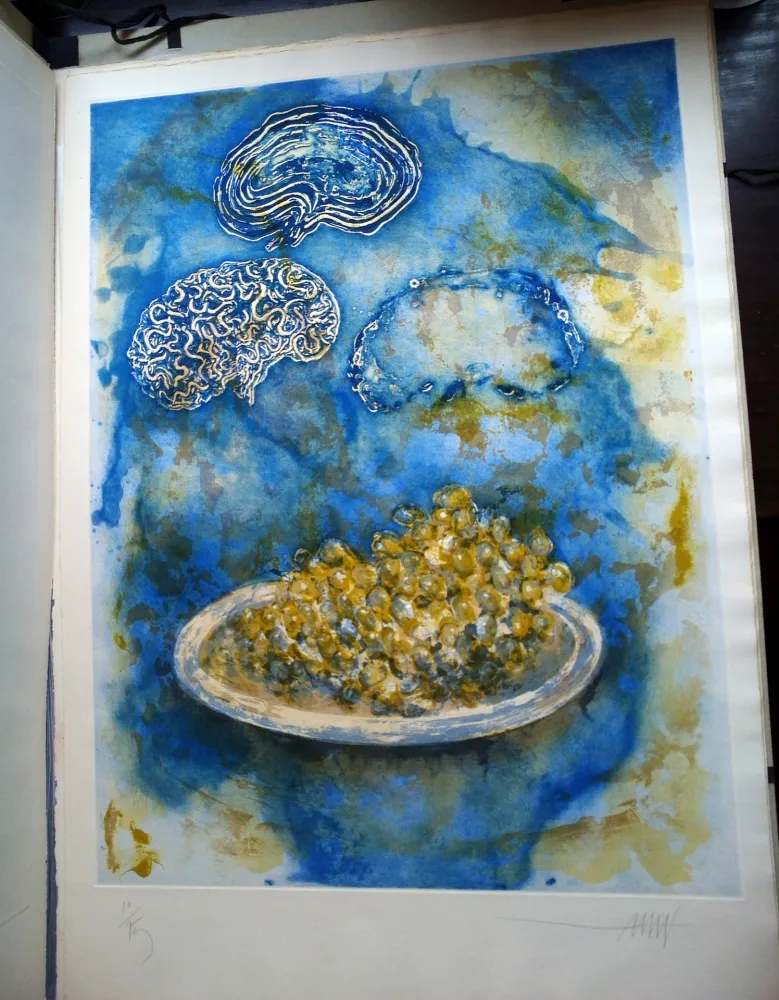 Иллюстрированная Книга Amat - La Ventada del somni