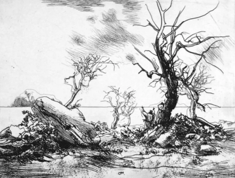 Офорт Annigoni - Paesaggio