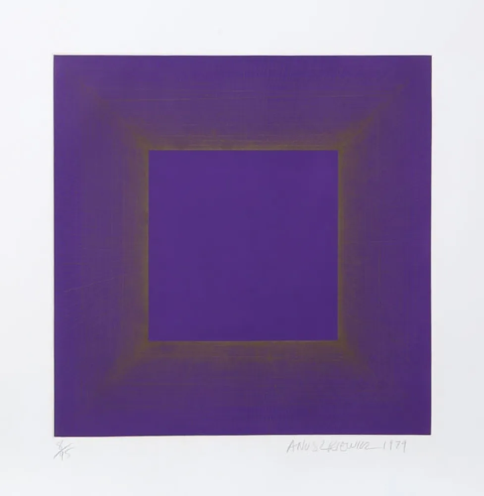 Акватинта Anuszkiewicz - Midnight Suite (Purple with Silver)