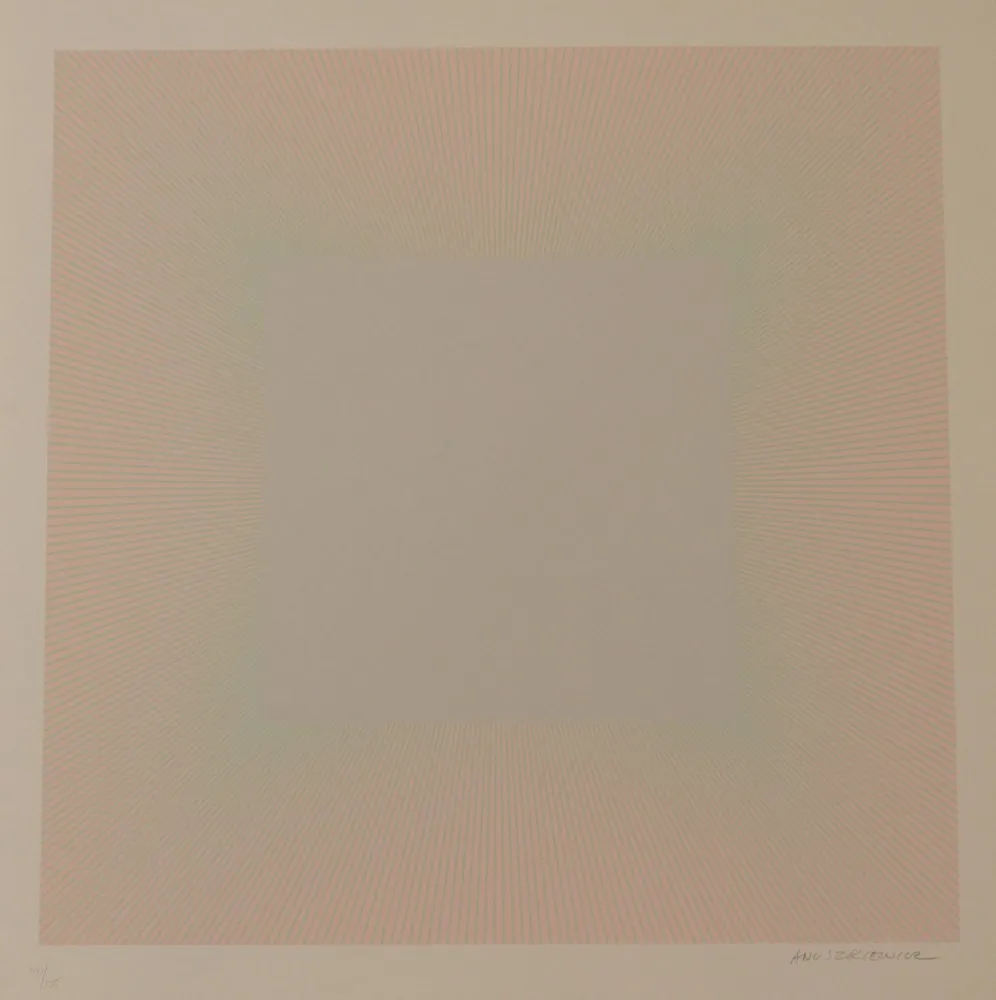 Литография Anuszkiewicz - SOFT, PALE GRAY - EXACTA FROM CONSTRUCTIVISM TO SYSTEMATIC ART 1918-1985
