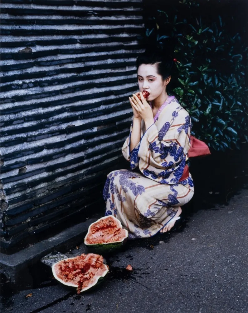 Многоэкземплярное Произведение Araki - Colorscapes