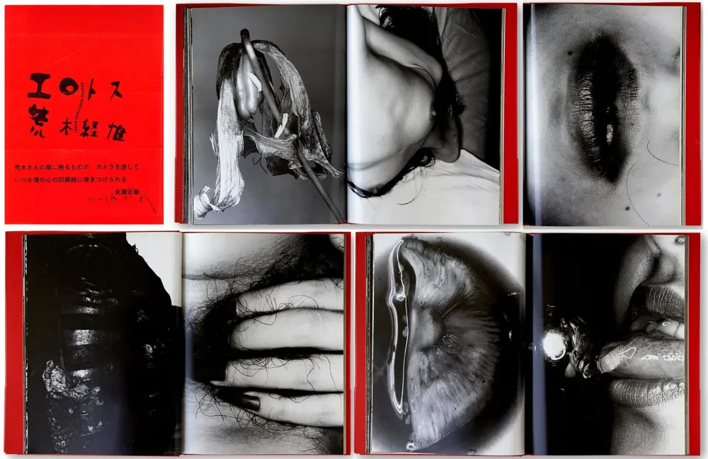 Иллюстрированная Книга Araki - EROTOS (1993)