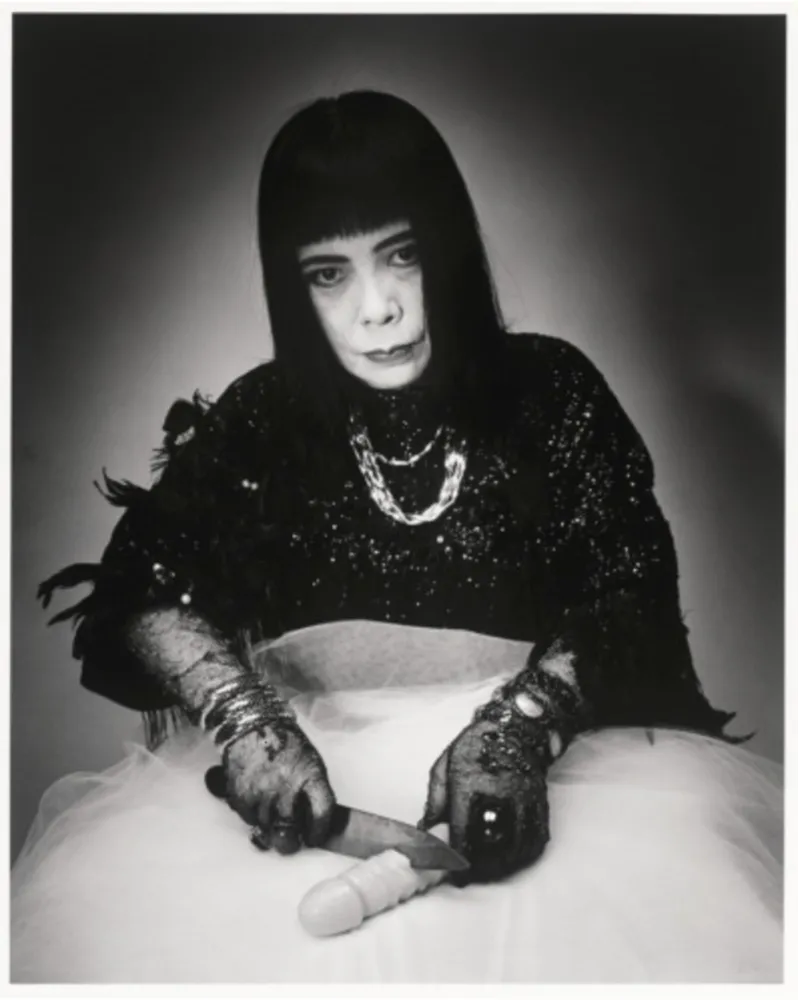 Многоэкземплярное Произведение Araki - Kusama Yayoi