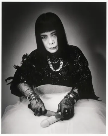 Многоэкземплярное Произведение Araki - Kusama Yayoi