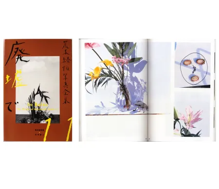 Фотографии Araki - The Works of Nobuyoshi Araki - n° 11. IN RUINS