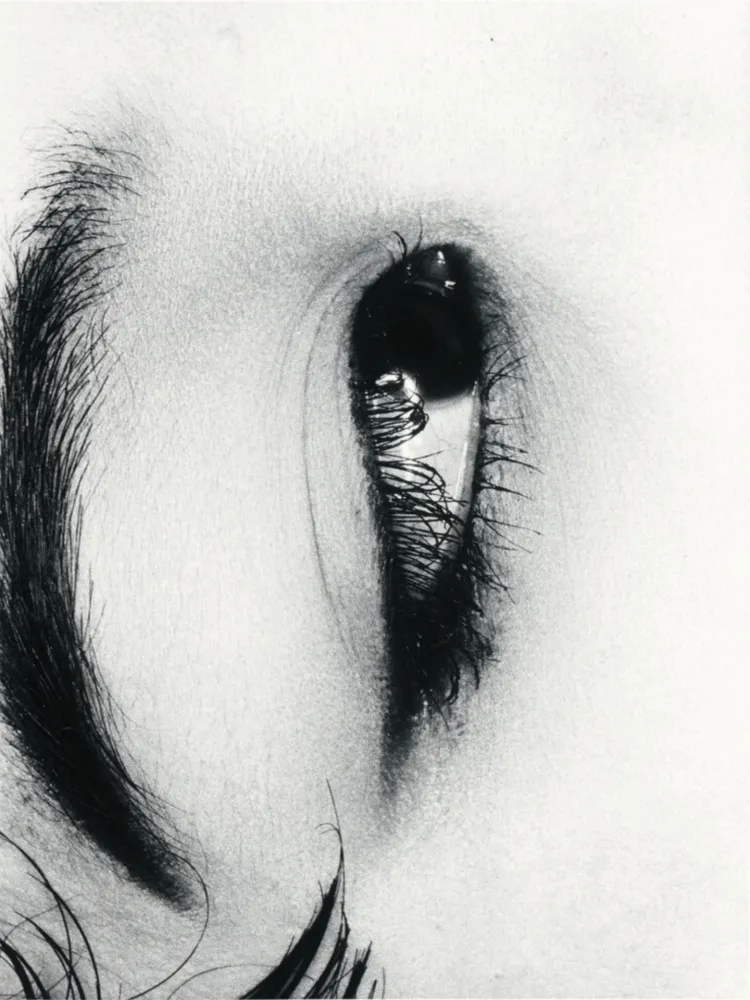 Многоэкземплярное Произведение Araki - Untitle from Erotos