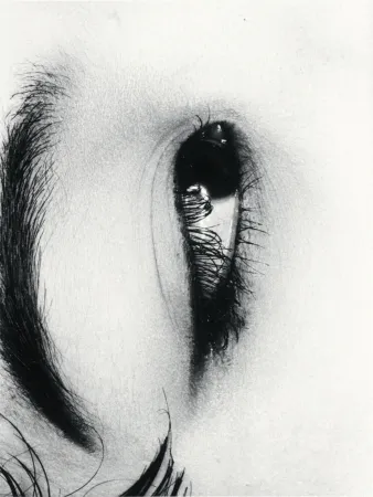 Многоэкземплярное Произведение Araki - Untitle from Erotos