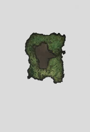 Гравюра Argimon - S/T