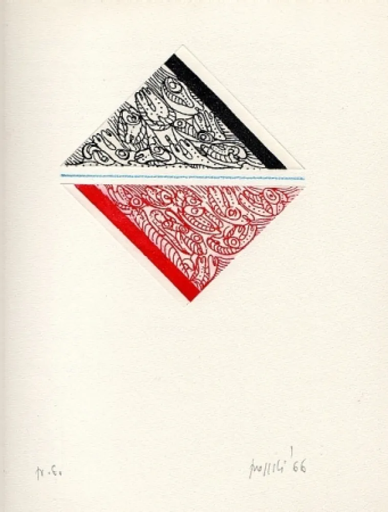 Иллюстрированная Книга Aricò - Controcanto con la neve e un viaggio