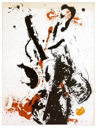 Литография Arman - Eclipse d'éclipses