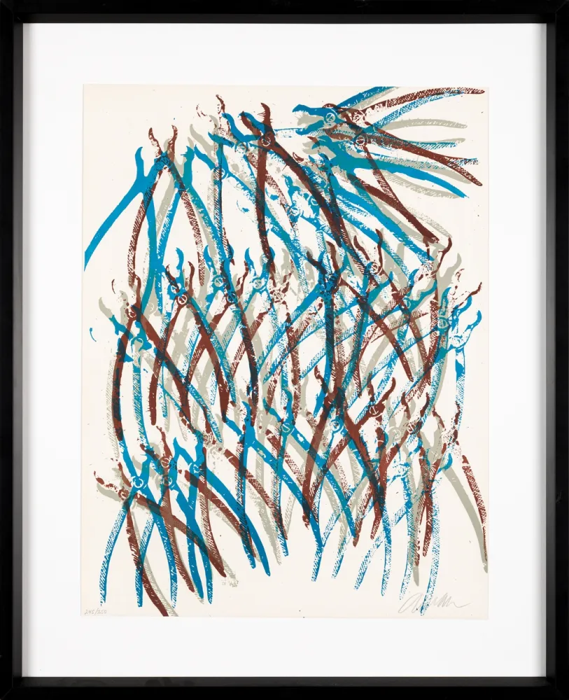 Литография Arman - Jaws